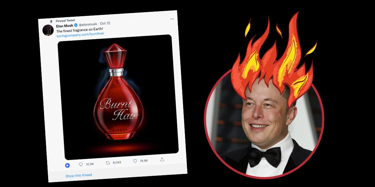 Elon Musk makes a cool million selling 'burnt hair' - Zinc  FM
