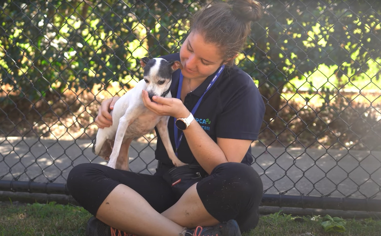 Animal rescue volunteers urgently needed post-pandemic - Zinc  FM